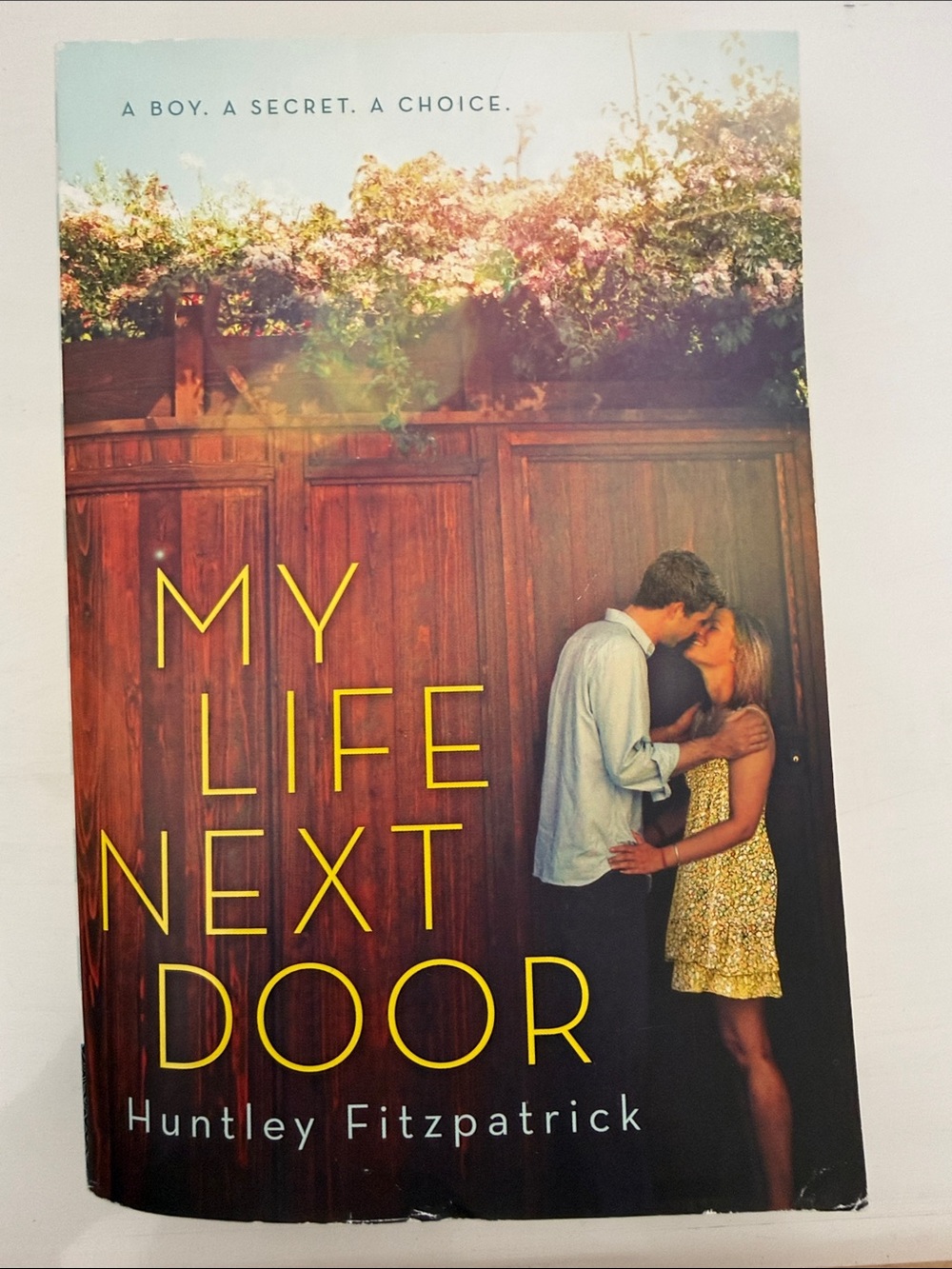 My Life Next Door by Huntley Fitzpatrick — Paperback Novel (Yellow Cover)
